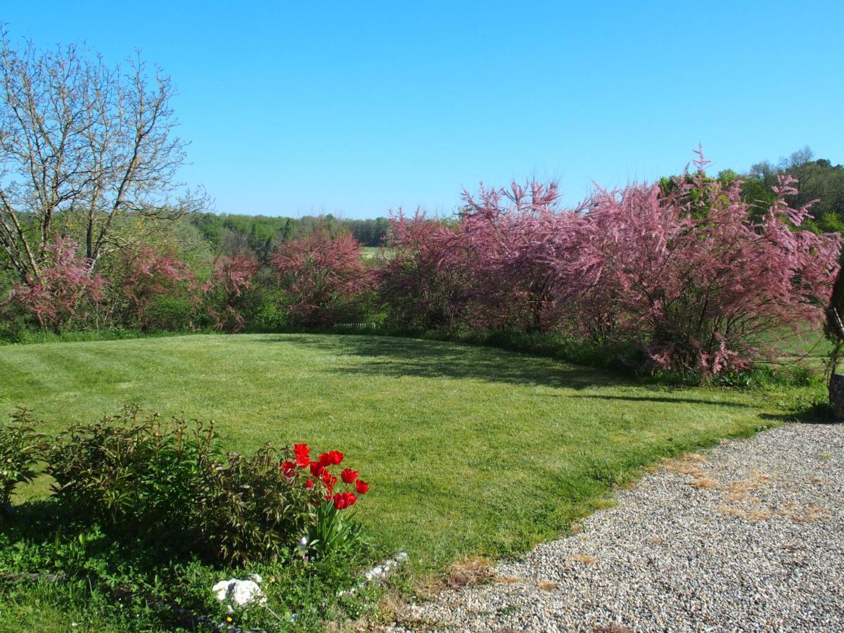 Les Tamaris Castelnau-sur-Gupie Exterior foto
